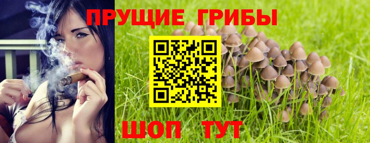 Псилоцибиновые грибы Psilocybine cubensis  Вход с VPN  Псилоцибиновые грибы Psilocybe  Лабытнанги 